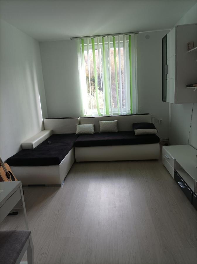 Apartament Doua Camere Uricani  外观 照片