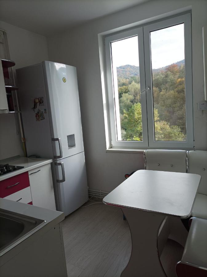 Apartament Doua Camere Uricani  外观 照片